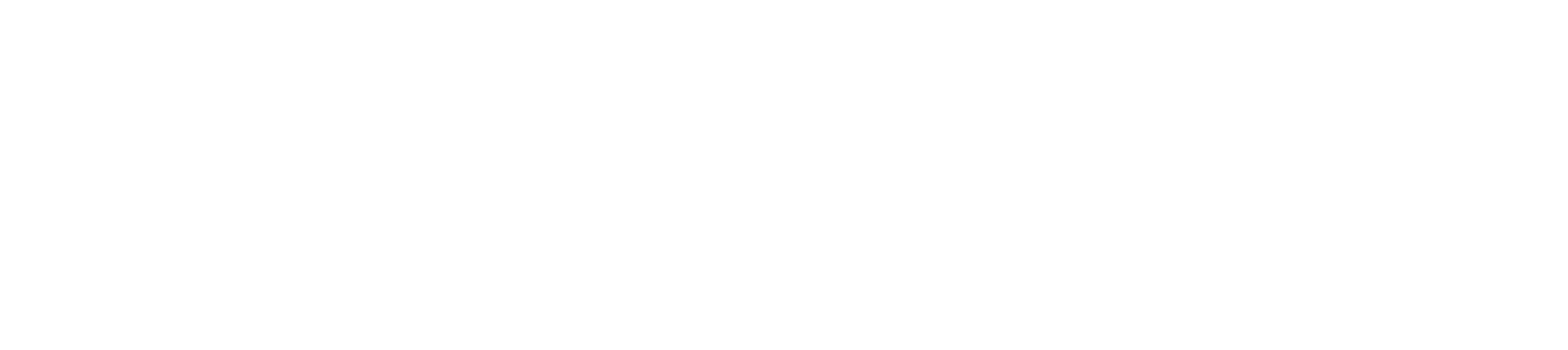 Vega Law Firm